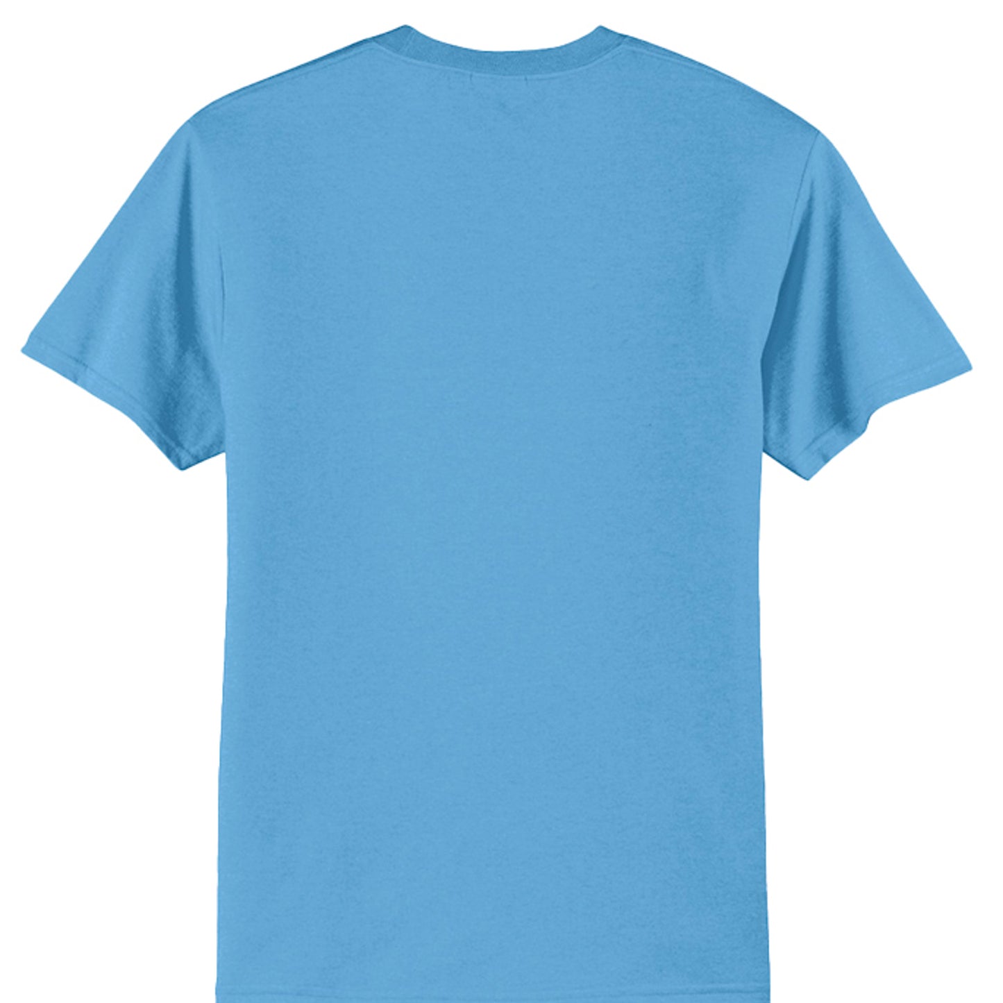 Aquatic Blue - PC55 - BACK